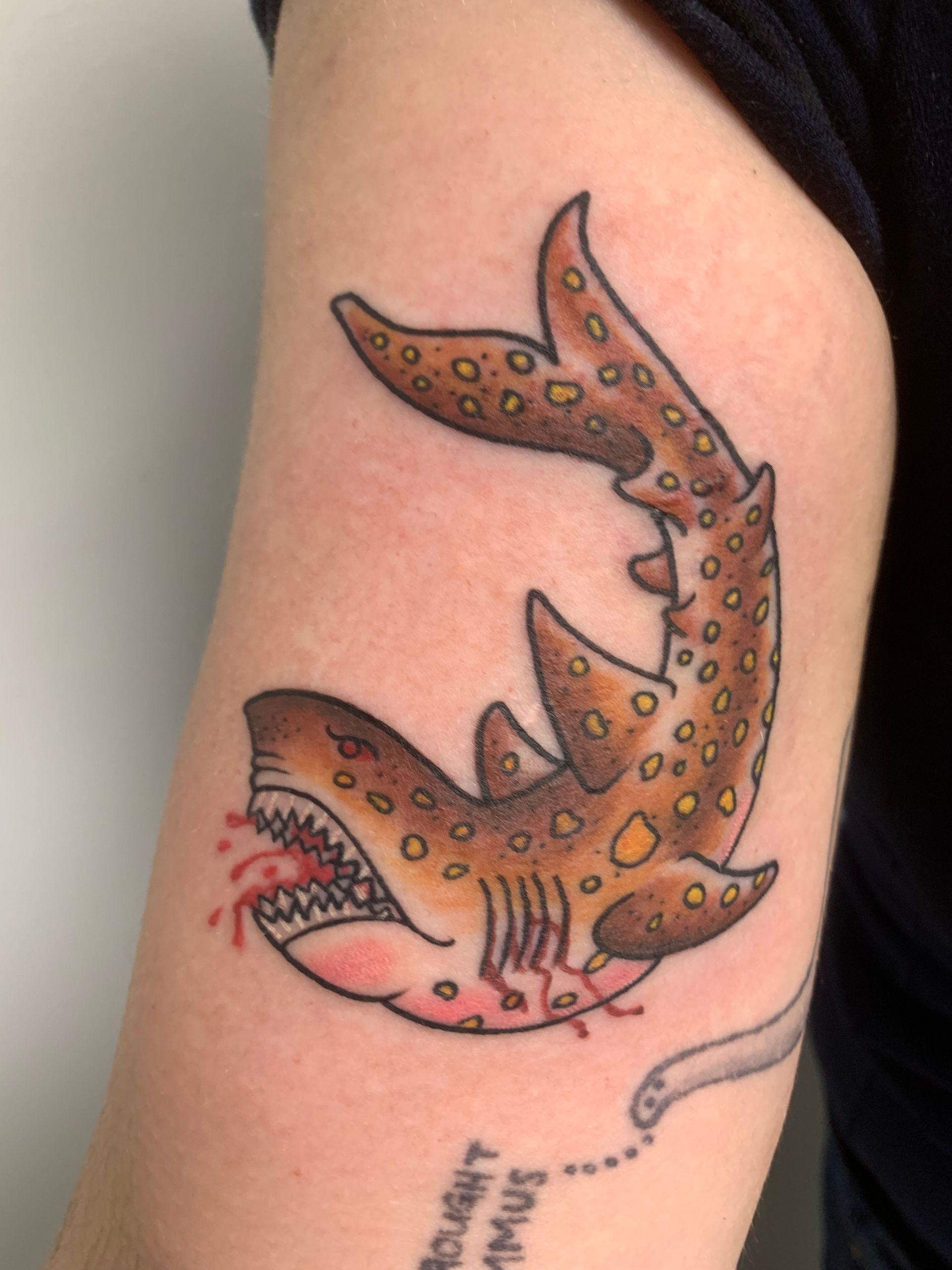 A person has a tattoo of a shark on their arm