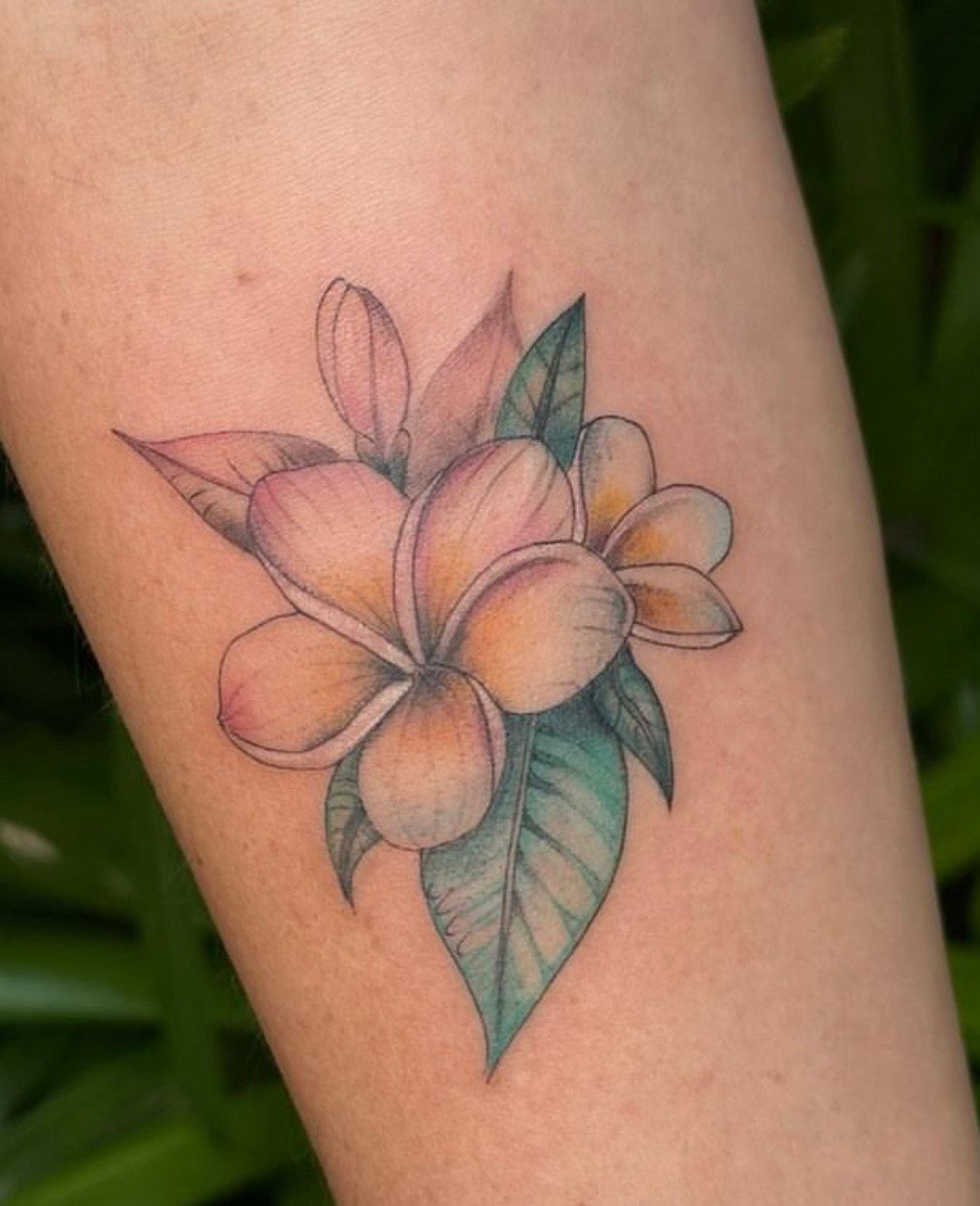 Color Plumeria Tattoo by Isabel 