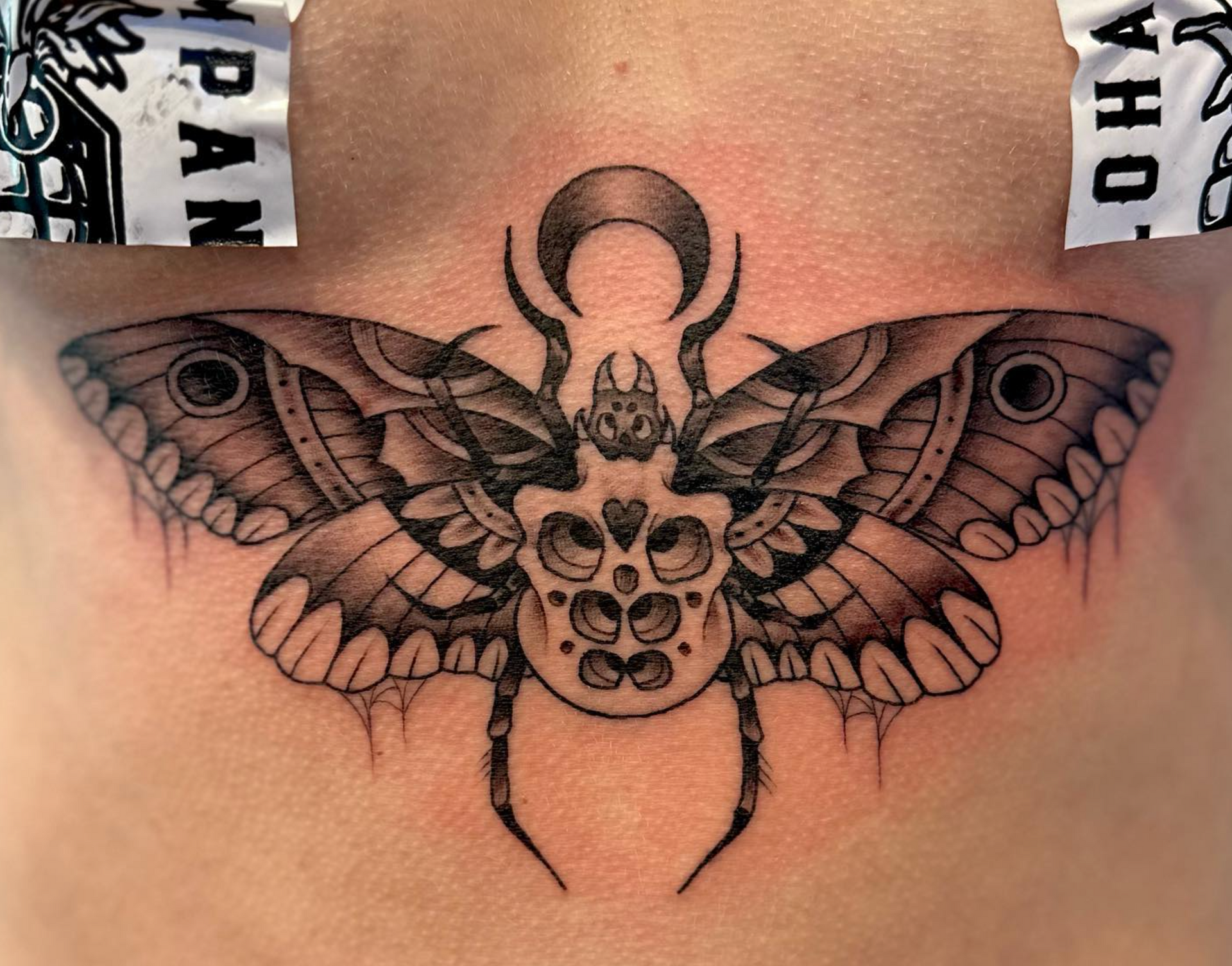 A black and white tattoo of a moth with a skull on its head
