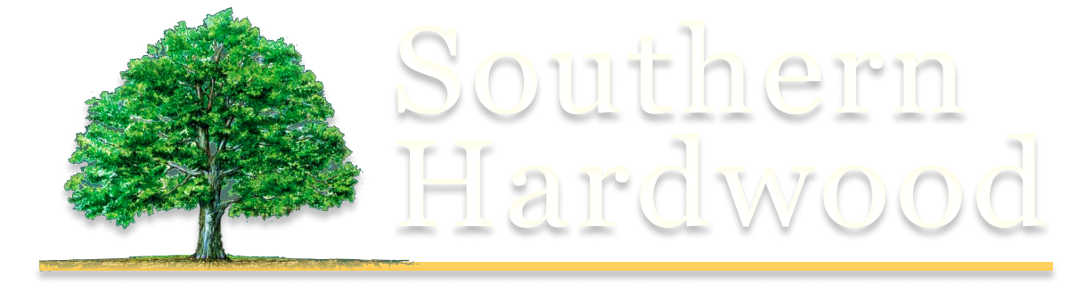 Hexagon logo with mountains, trees, and campfire in orange and blue. Company name is white.