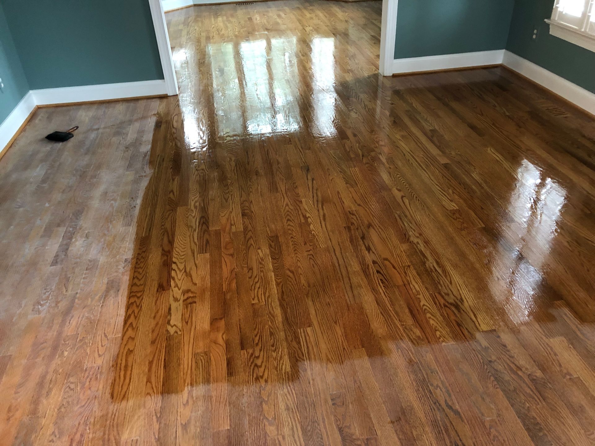 Newly refinished hardwood floor reflects light, showing wet sections and dry areas in a room with teal walls.