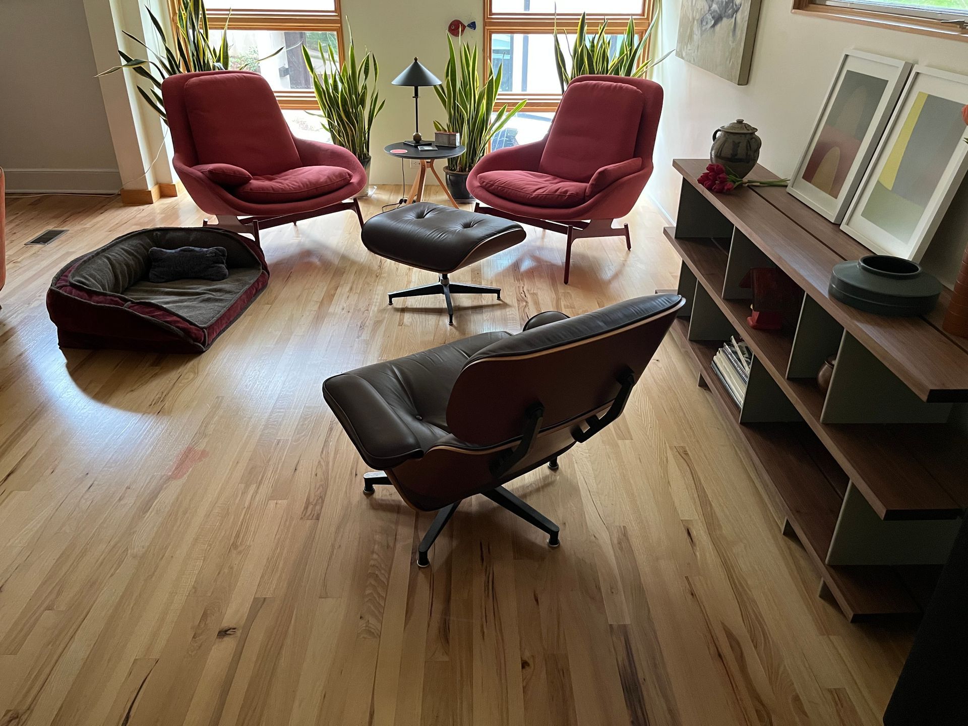 Living room with modern furniture, hardwood floors, and potted plants.