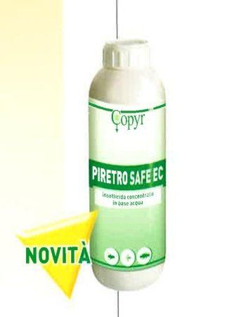 Detergente professionale