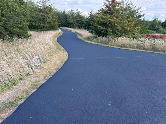 A curvy road going through a field with trees on both sides.
