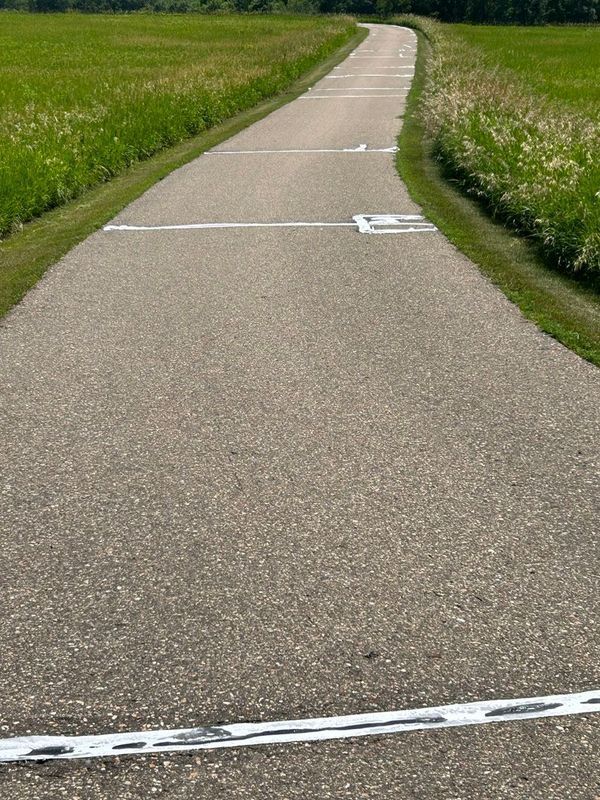 A road with a handicap sign painted on it going through a field.