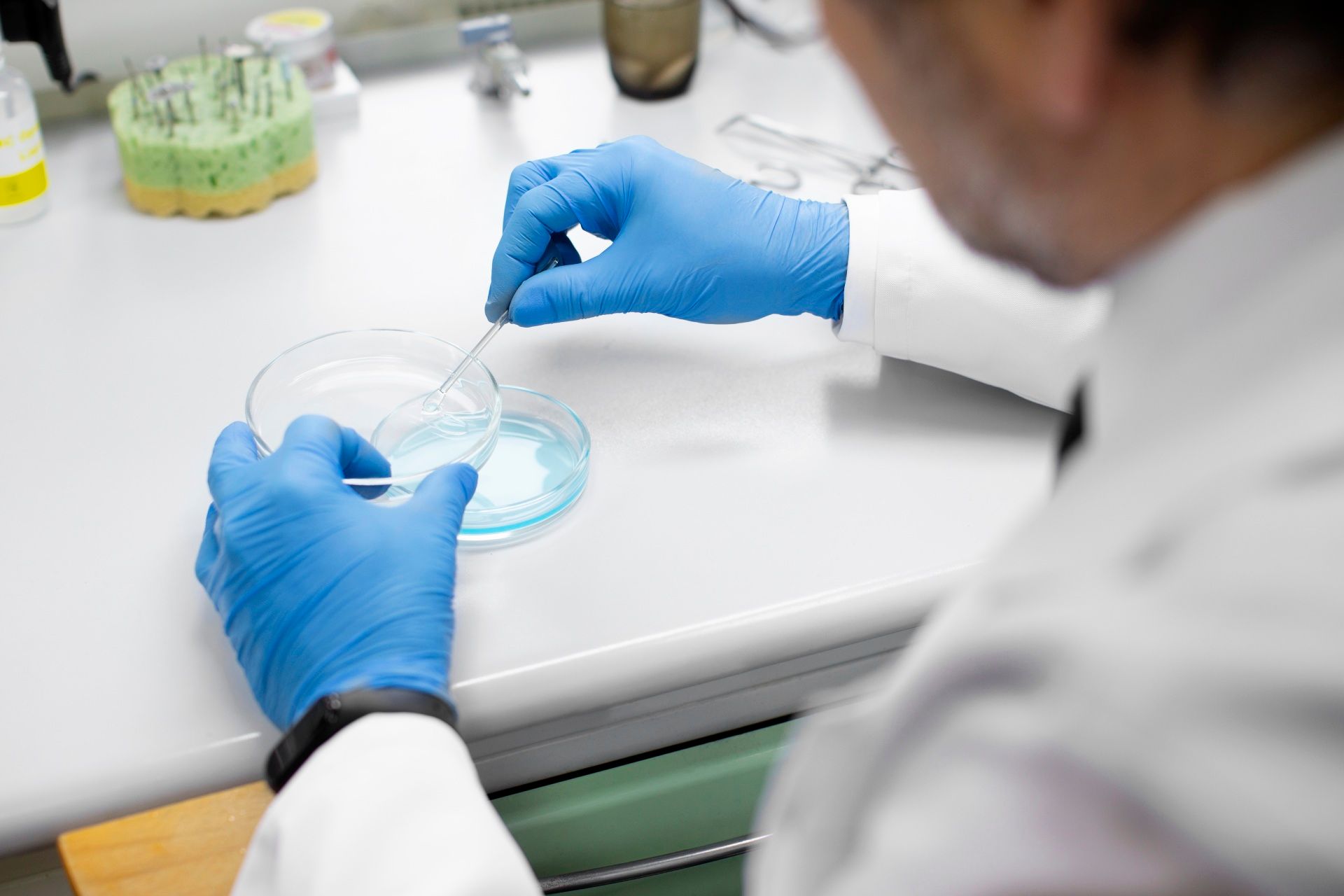 Person in lab coat and gloves handling petri dishes in a lab setting.