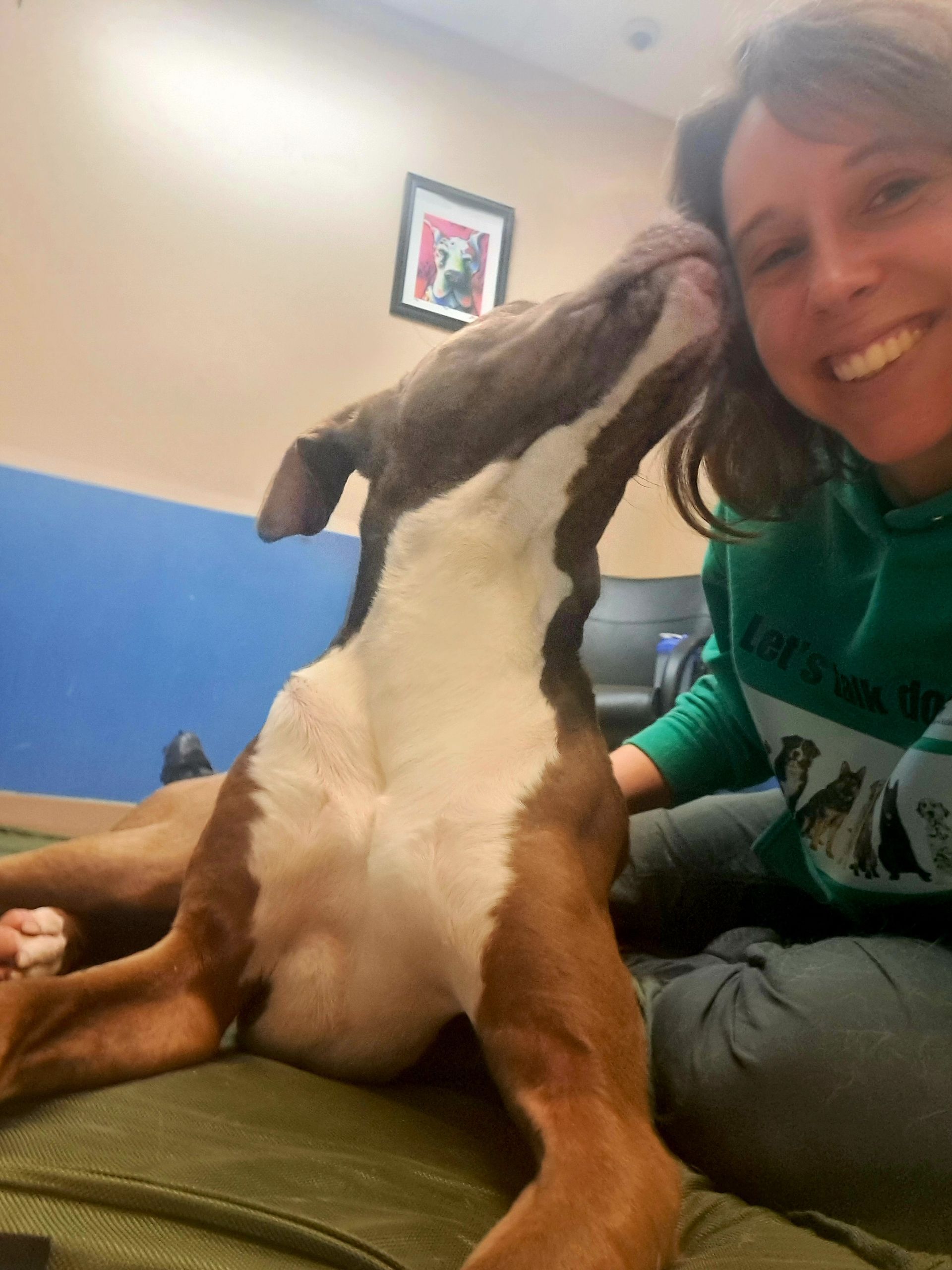 Grateful dogs pay in kisses