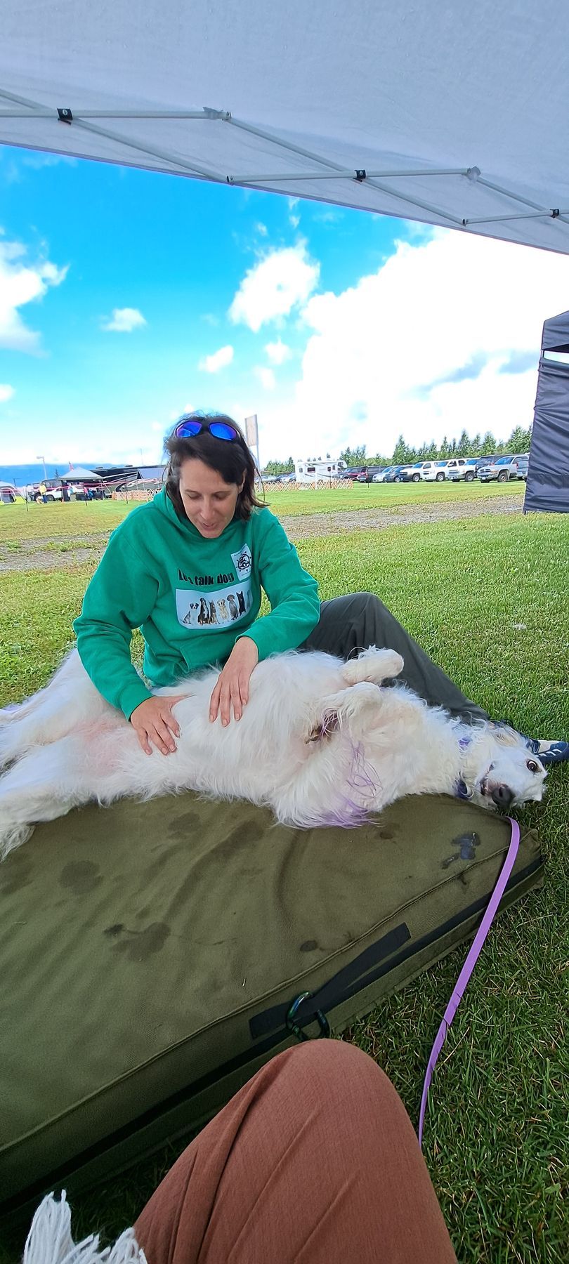 Massage therapy