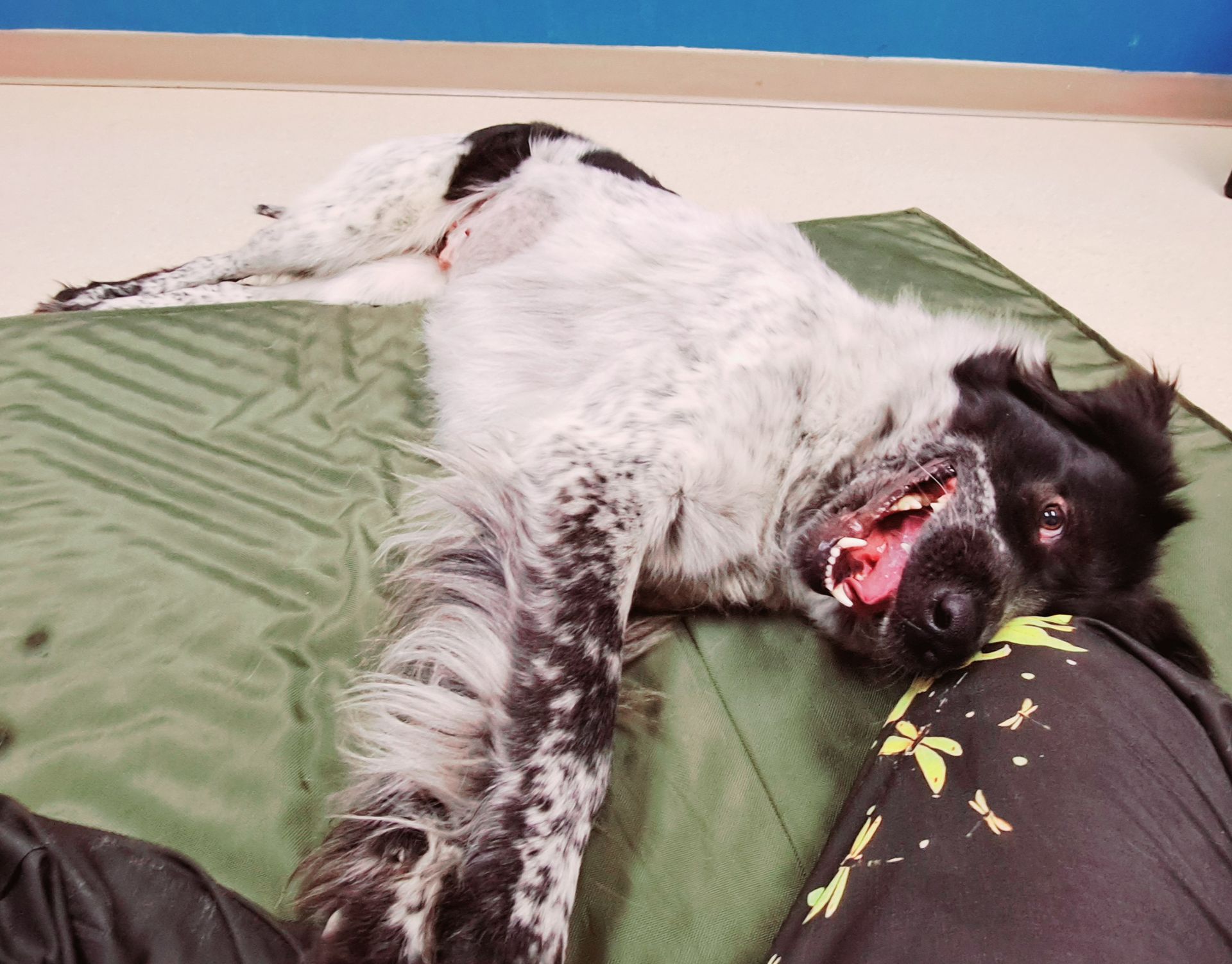 More massage please