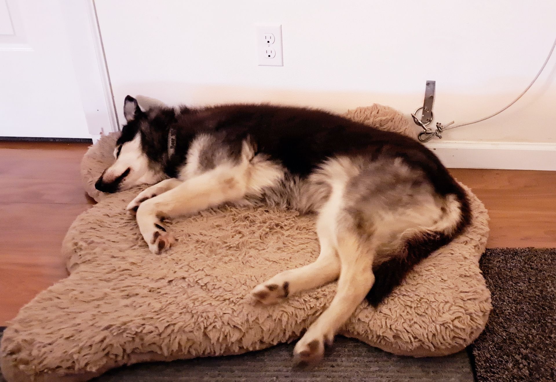 Good nap after massage therapy, best senior care