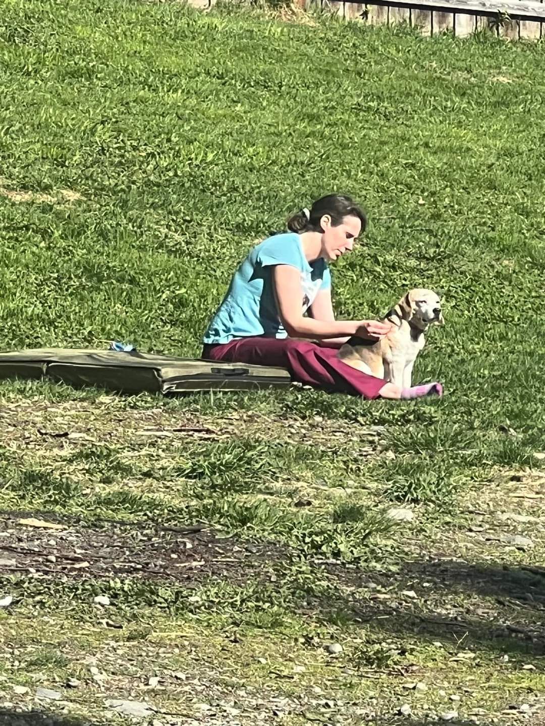 Massage therapy