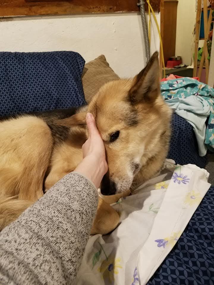 Healing touch