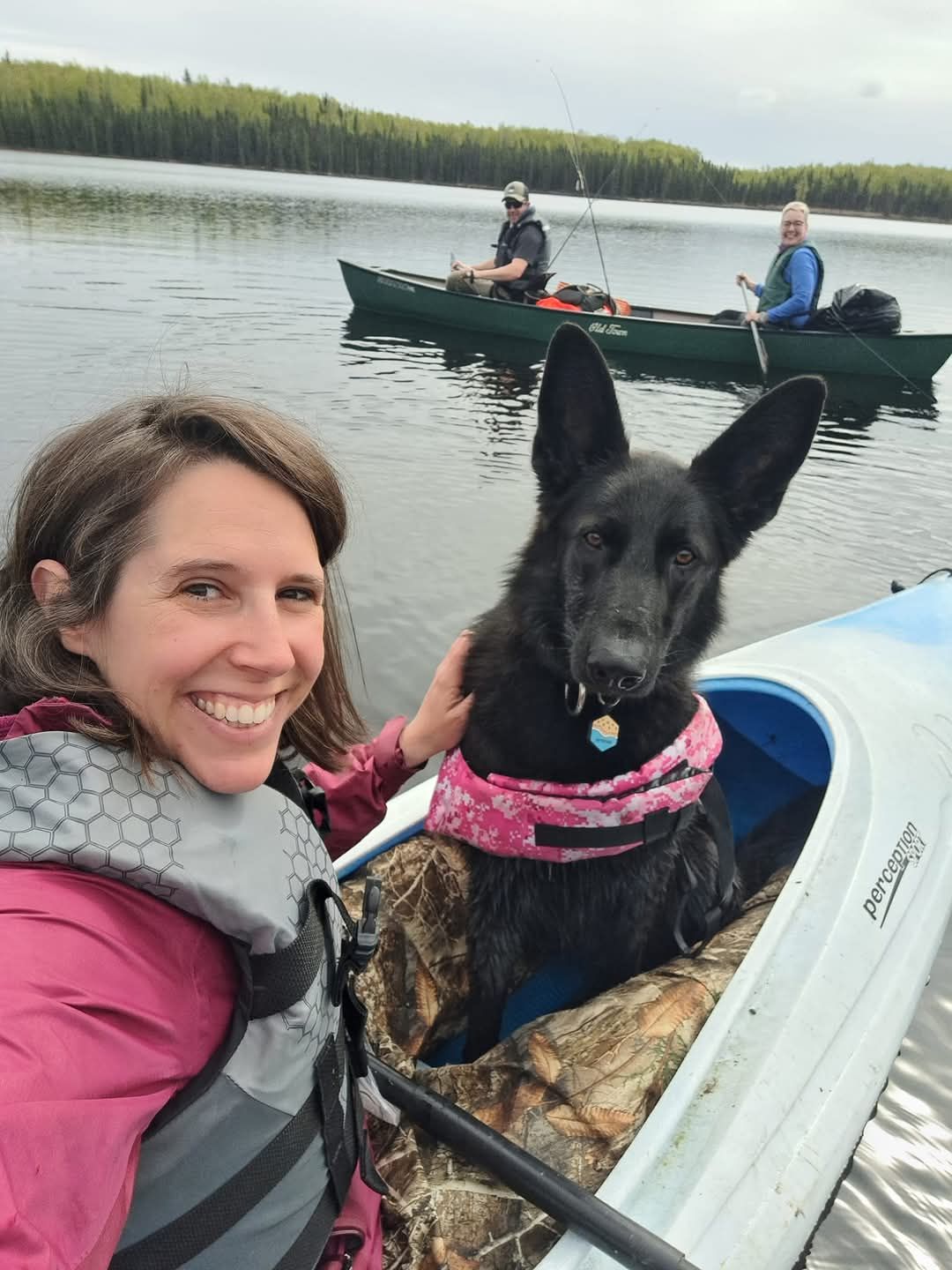 Adventure dog
