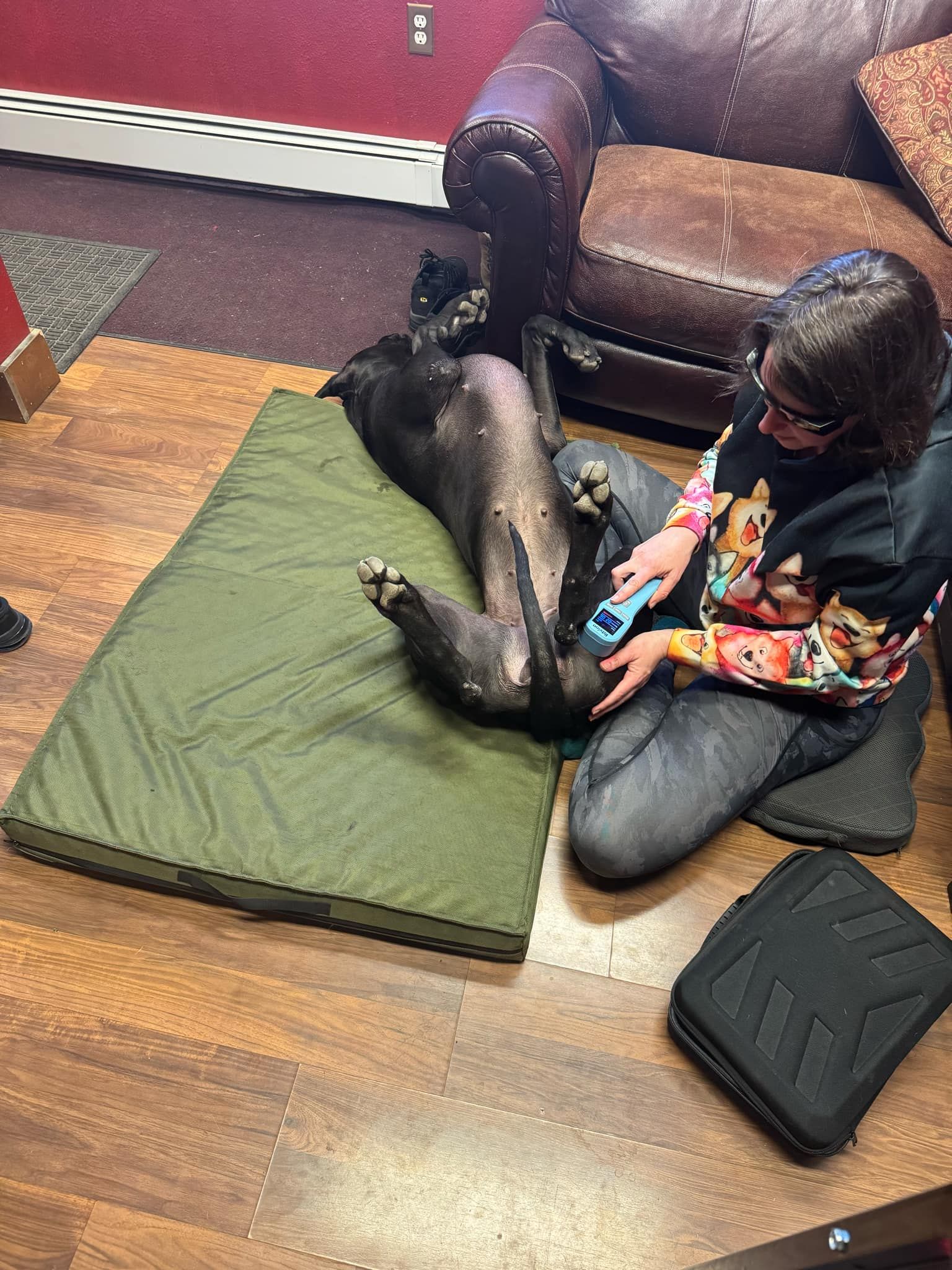 Cold laser therapy