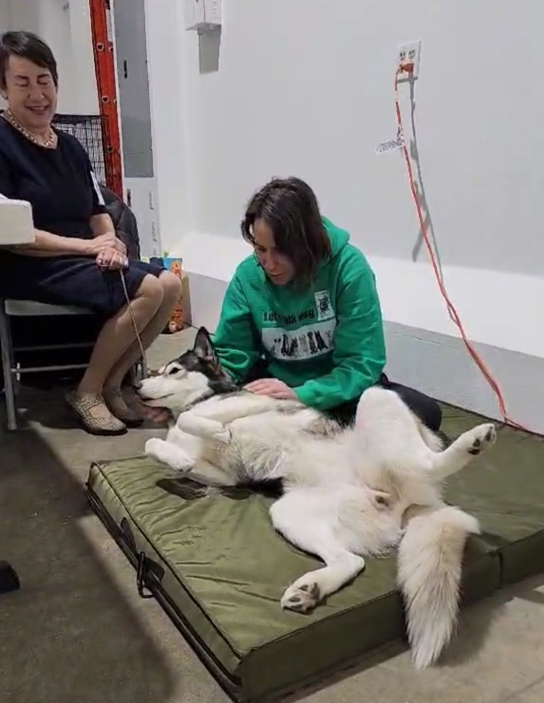 Massage therapy