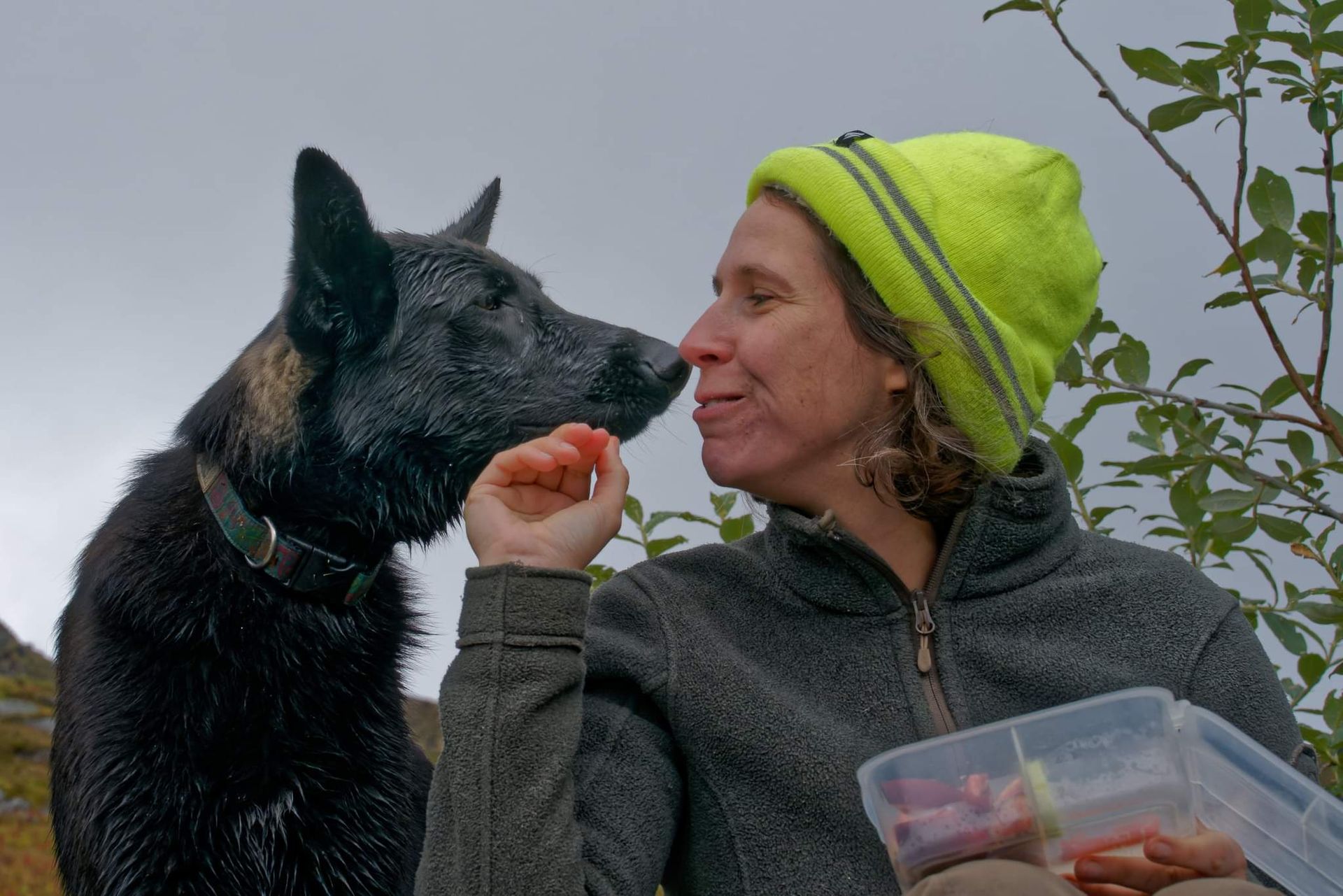 Best canine - human connection