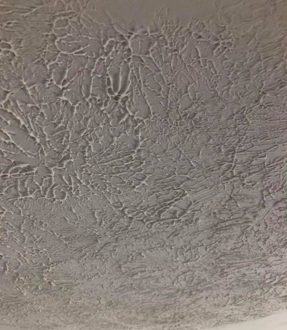 Small blue house with peeling paint, two windows, and detached shutters next to a body of water.