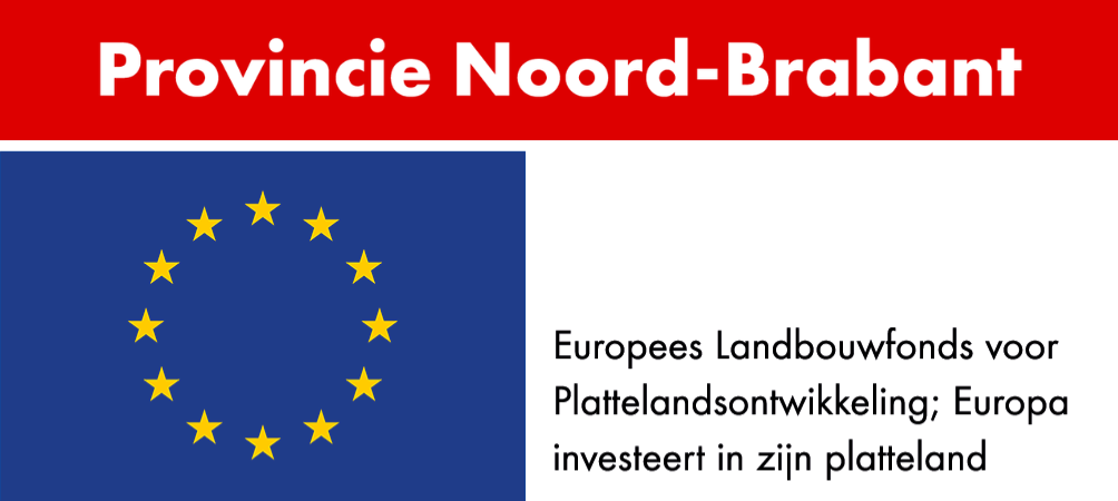 Een logo voor de provincie Noord-Brabant met een blauwe vlag en gele sterren