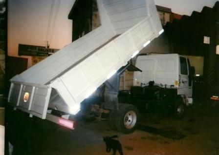 Camión volquete blanco con plataforma elevada, gato negro en primer plano.