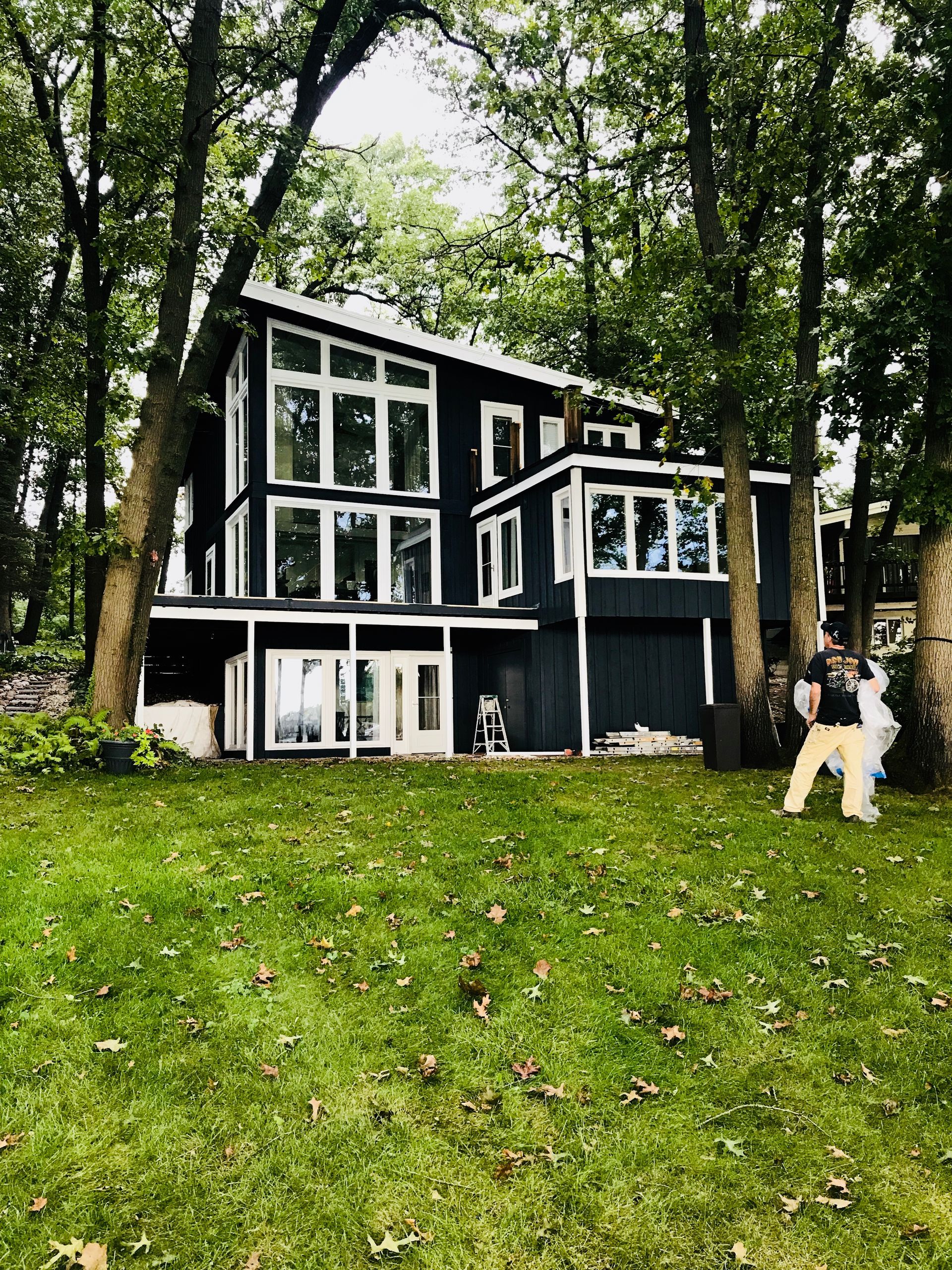 A black and white dog is standing in front of a large house surrounded by trees.
