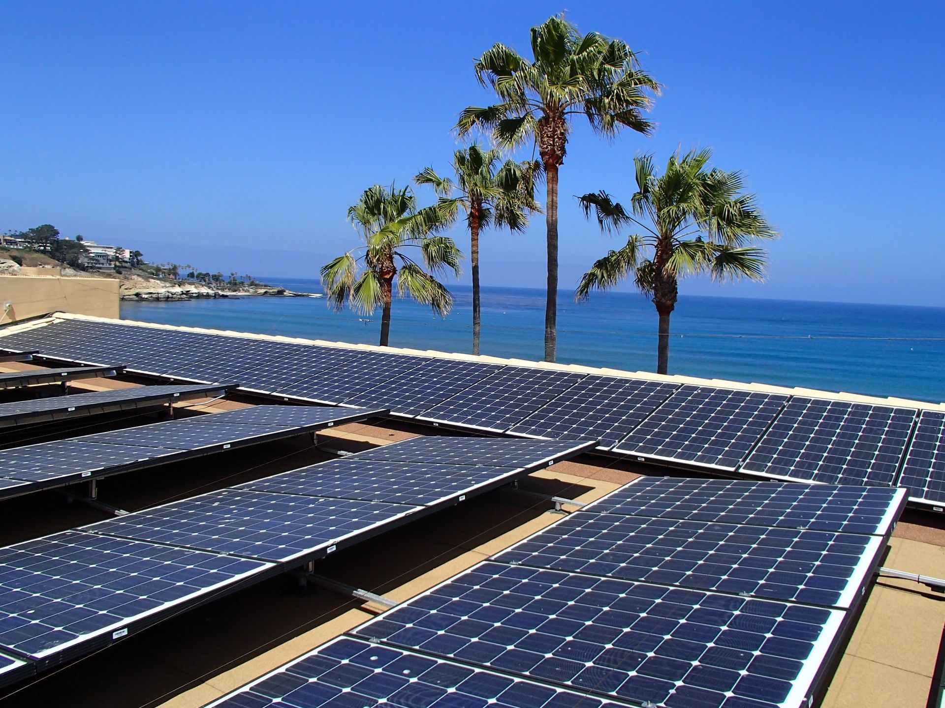 A bunch of solar panels on a roof with palm trees in the background