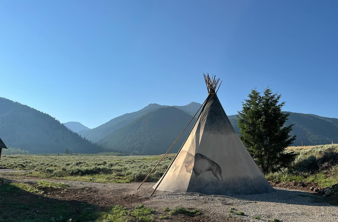 A teepee in a field with mountains in the background