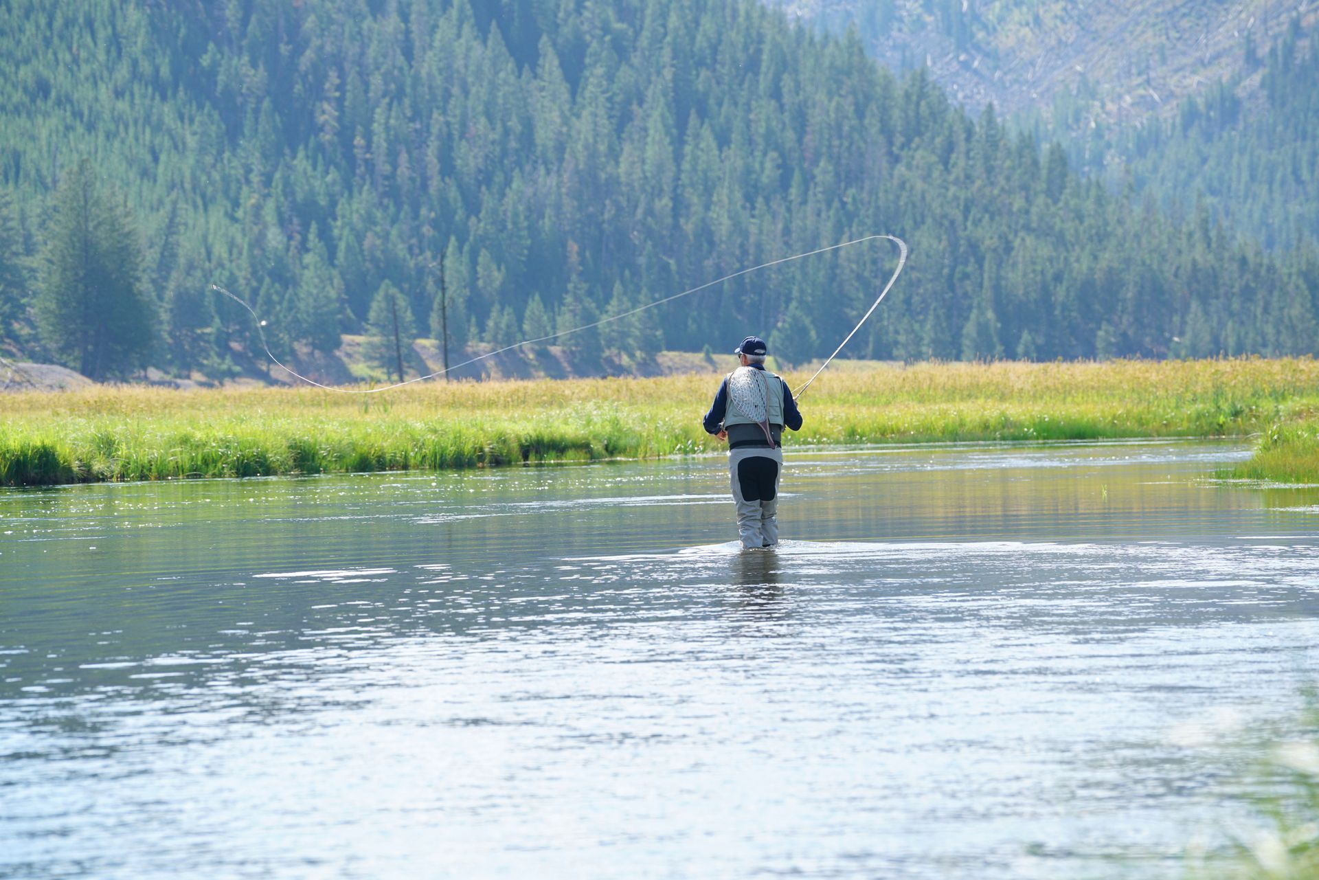 A man is fishing in a river with trees in the background.