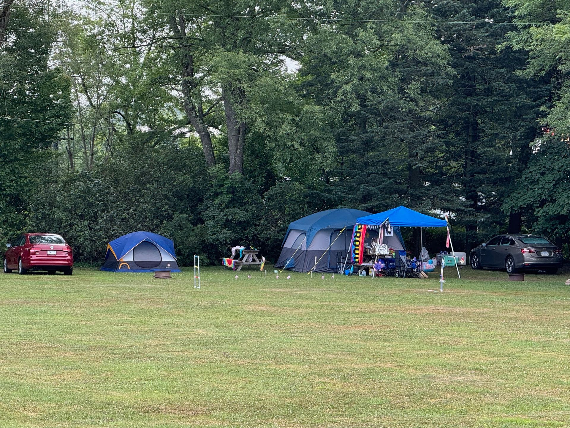 Camping scene: tents, cars, and gear on a grassy field surrounded by trees. Blue and red cars are present.