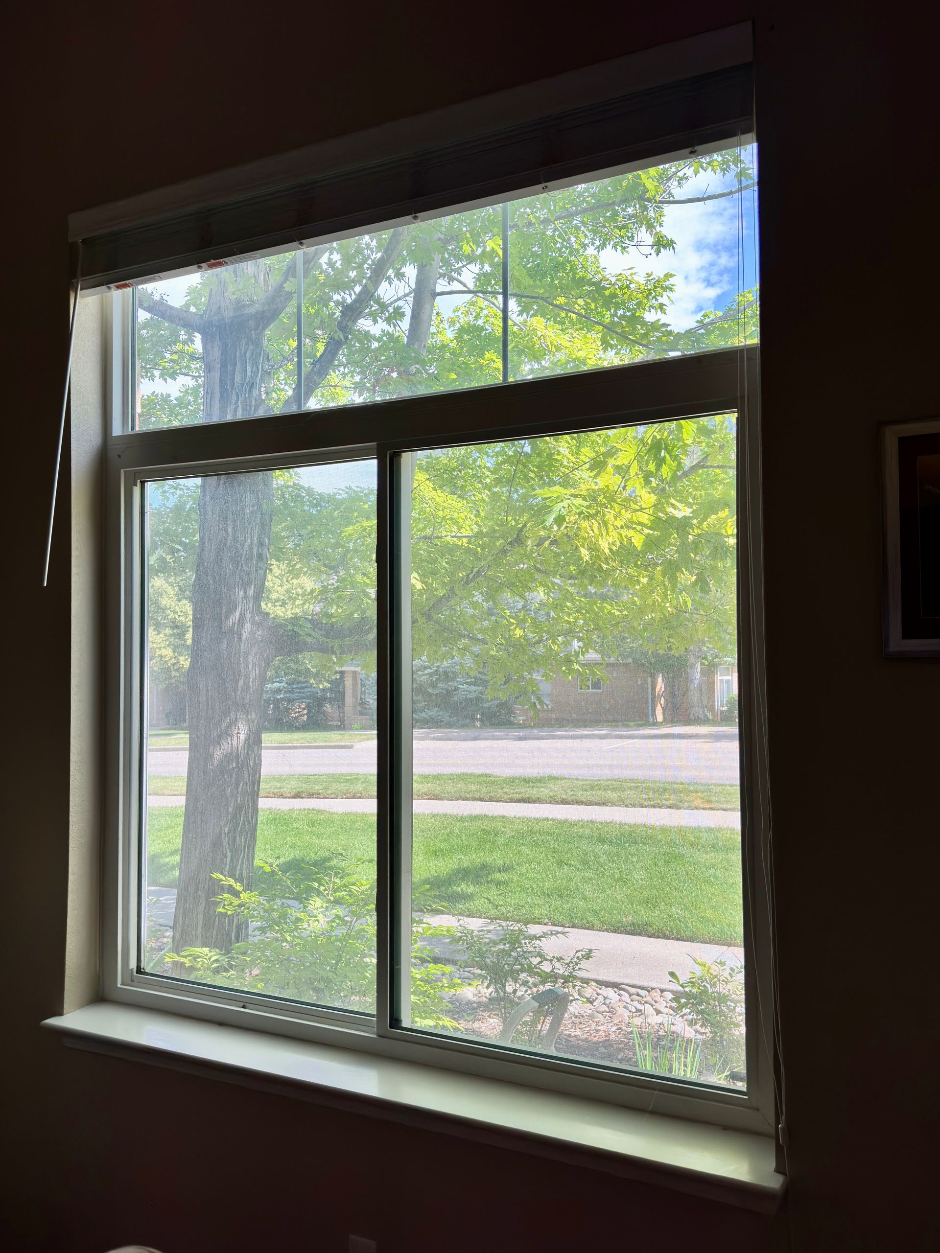 A large window with a view of a street and trees