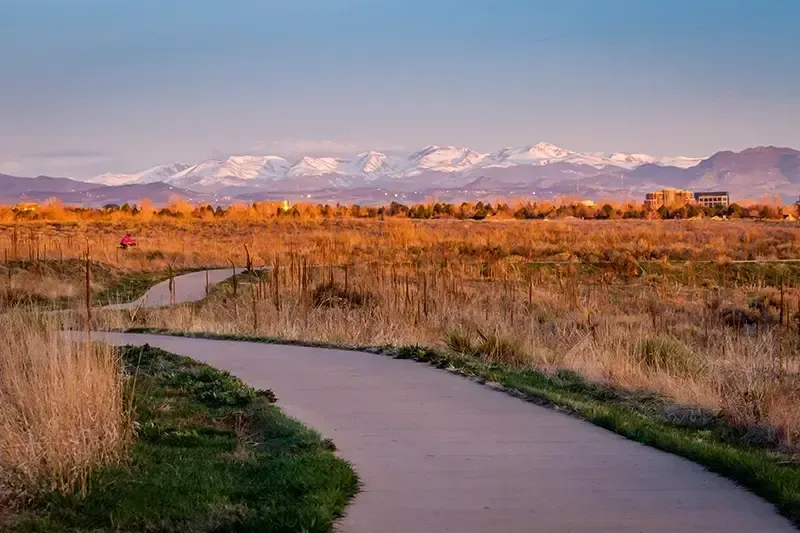 A road going through a field with mountains in the background.