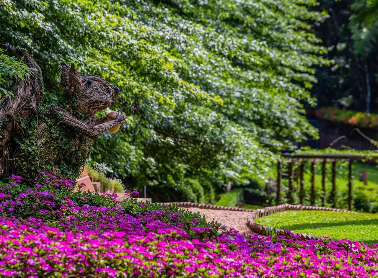 Verão em Gramado: férias, natureza e experiências que encantam