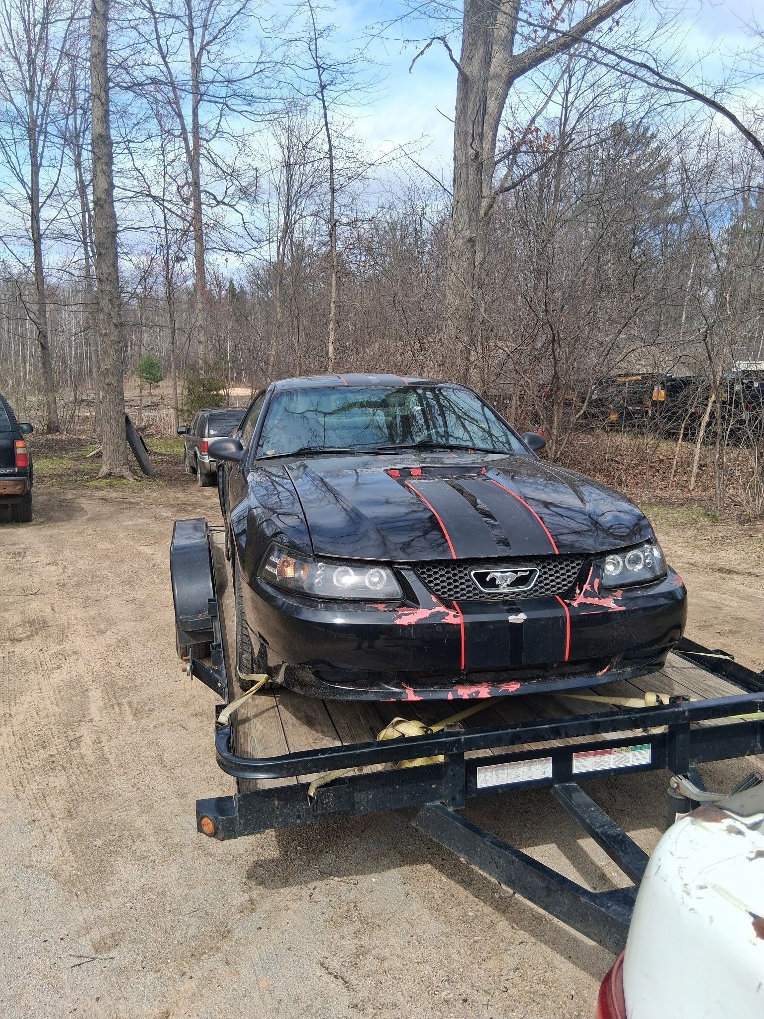 A black mustang is being towed by a trailer.