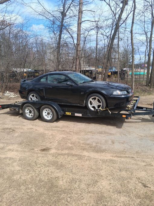 A black mustang is sitting on top of a trailer.