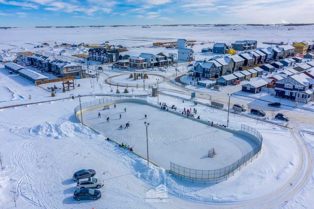 Picture of a calgary winter