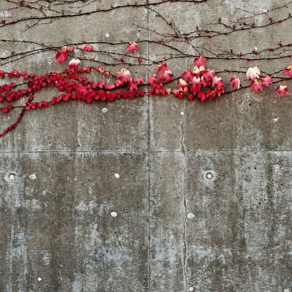 A concrete wall with cracks that need repair