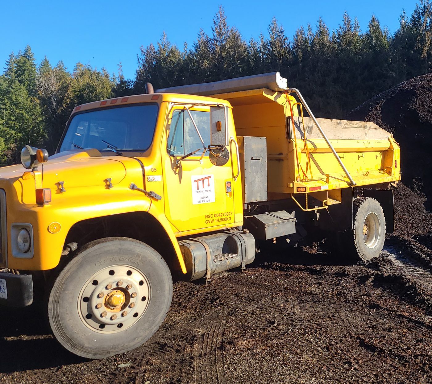 Big Yellow Dump Truck