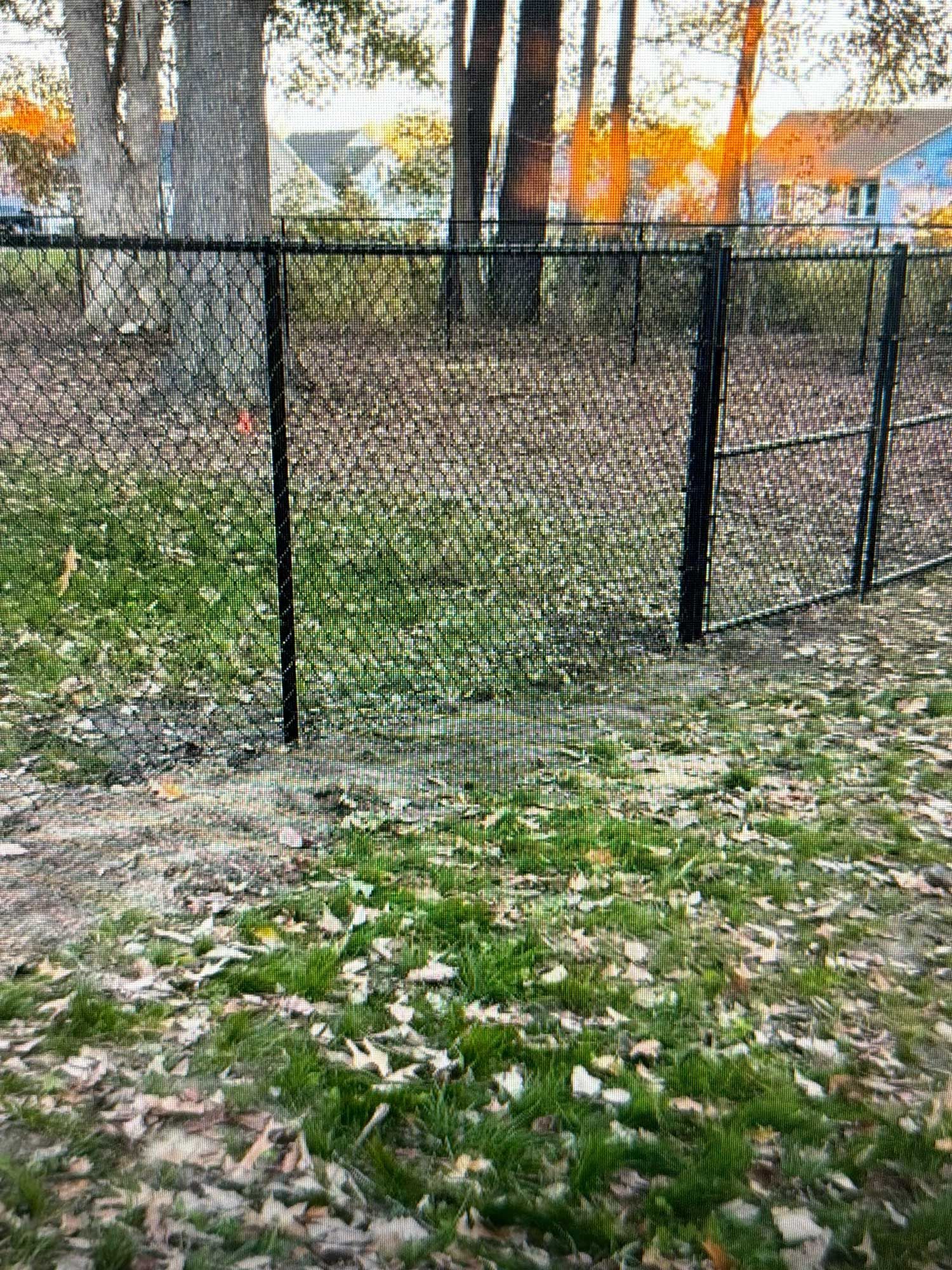 Black chain-link fence with gate, set in yard with green grass and fallen leaves. Trees and houses visible in background.