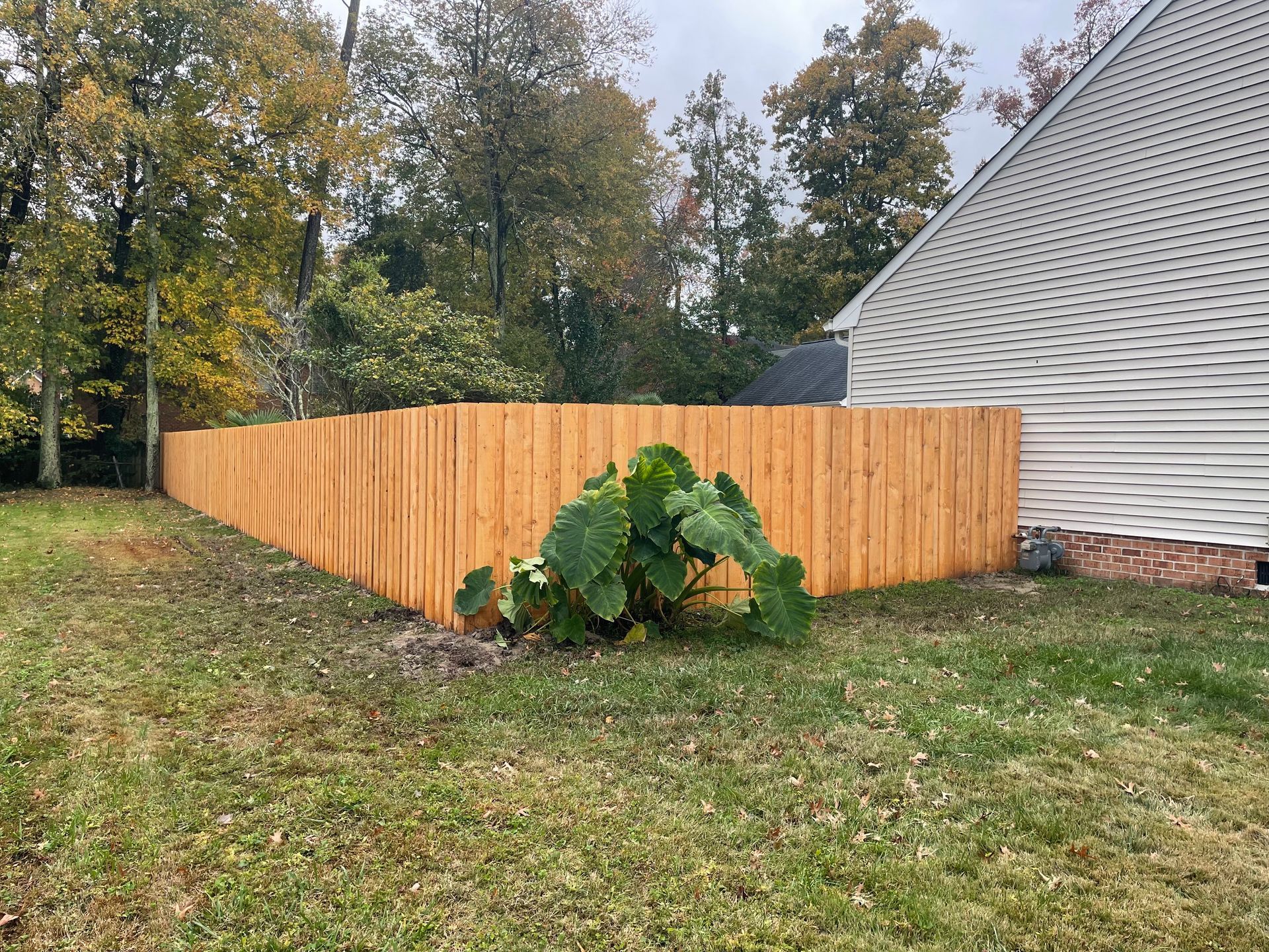 Wooden fence surrounds a yard with a house on the right, trees in the background, and green grass.