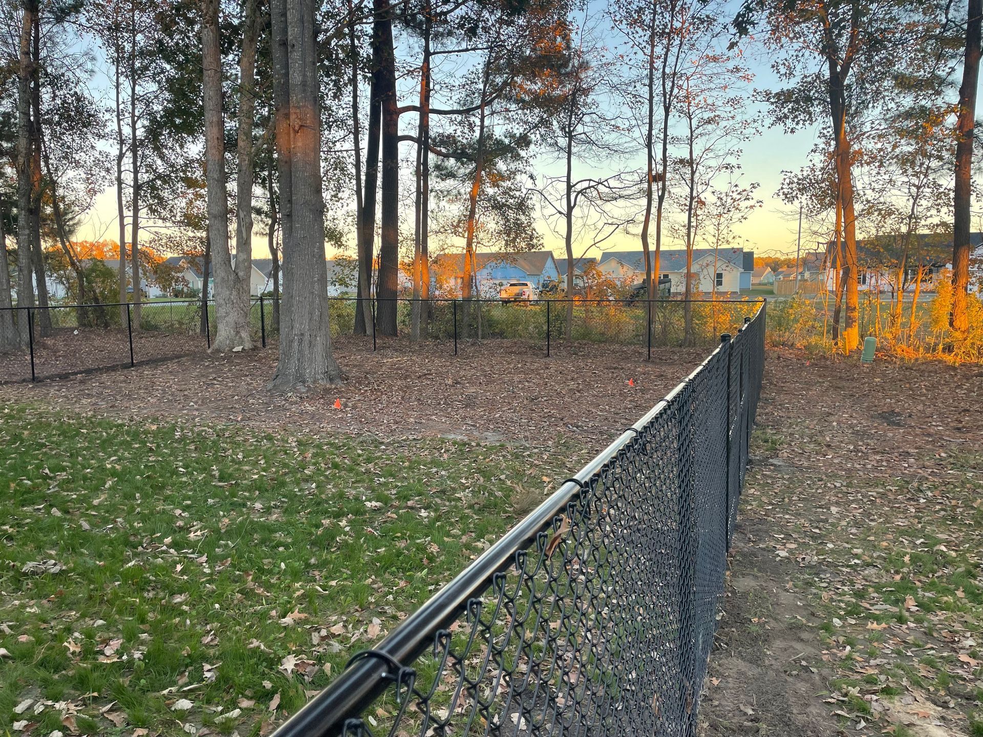 Black chain-link fence in a yard with trees and houses in the background at dusk.