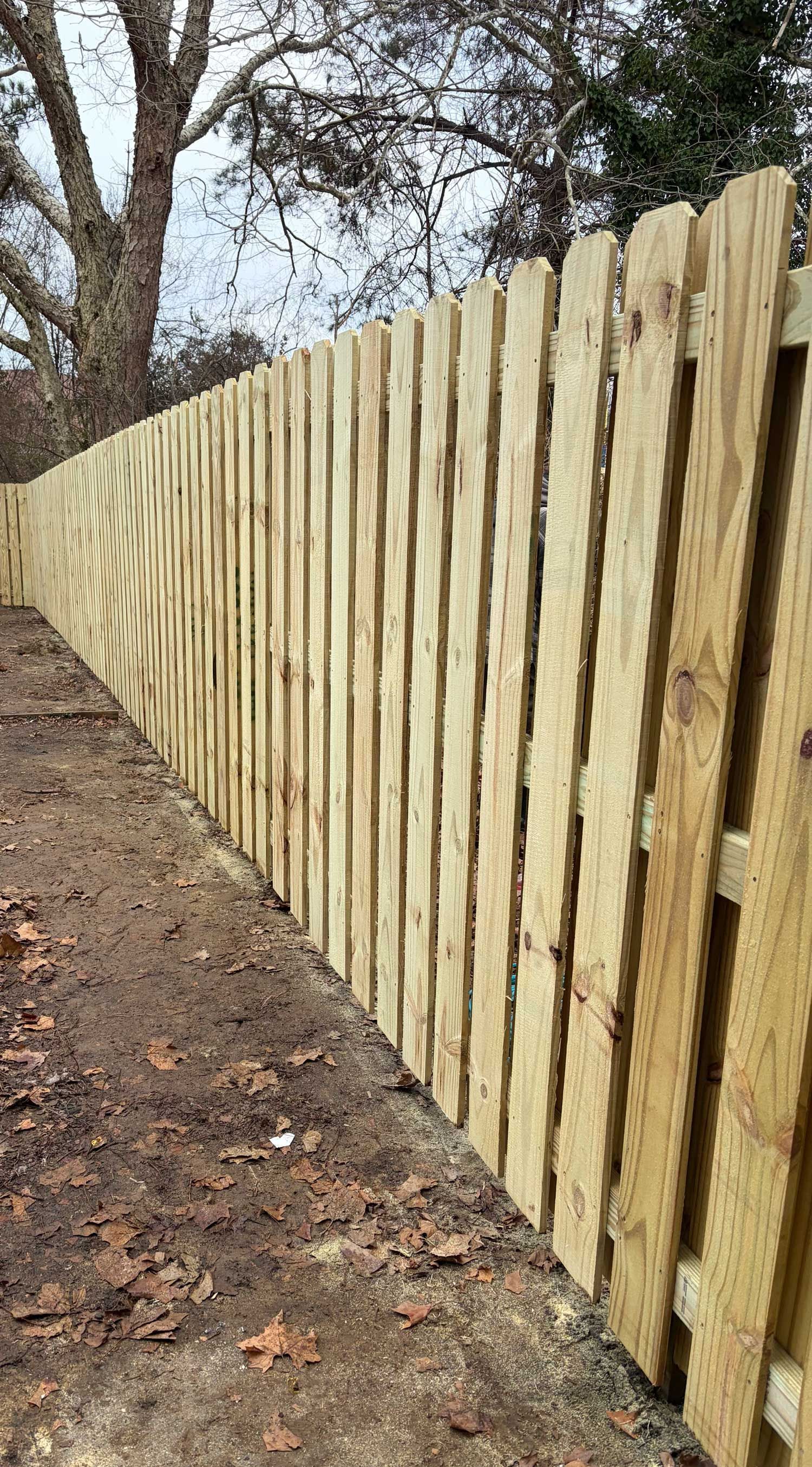 Wooden fence, vertical planks, along a dirt path with some leaves, next to a tree.