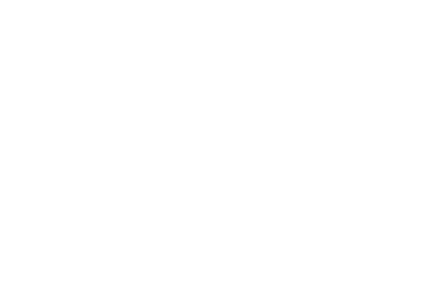 skynaf llc logo