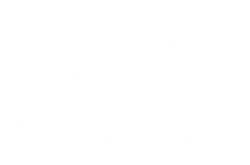 skynaf llc logo