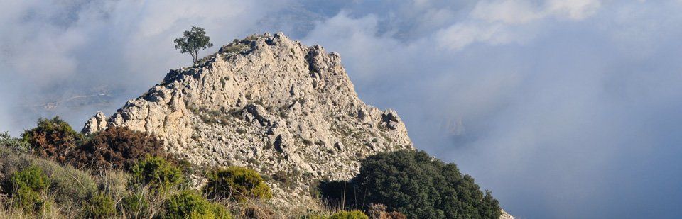 Peaks of the Sierrra Aixorta