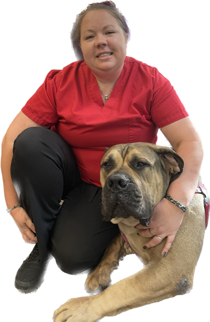 A woman in a red shirt is kneeling down next to a brown dog