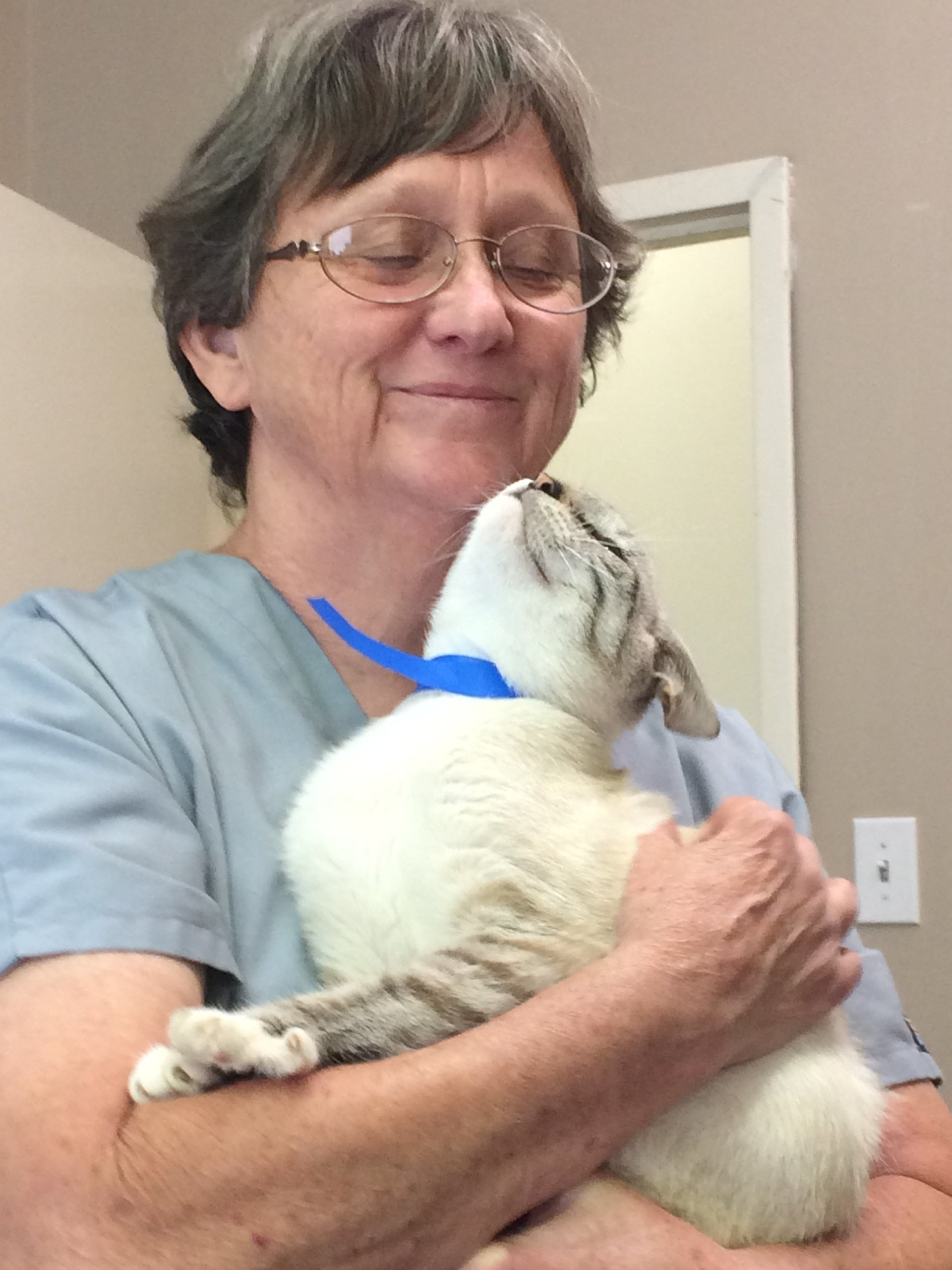 A woman in scrubs is holding a cat in her arms.