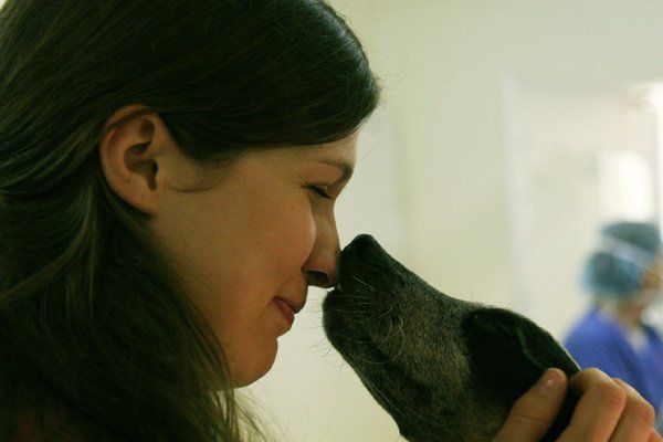 A woman is kissing a dog on the nose