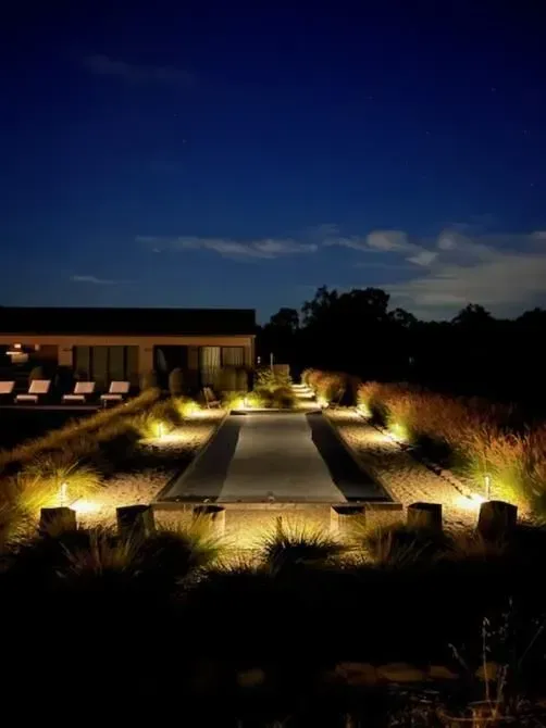 A path leading to a house is lit up at night.