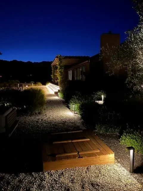 A path leading to a house is lit up at night.