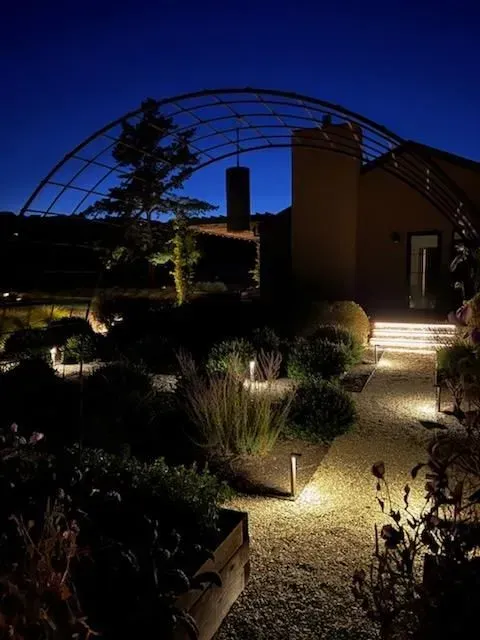 A path leading to a house is lit up at night