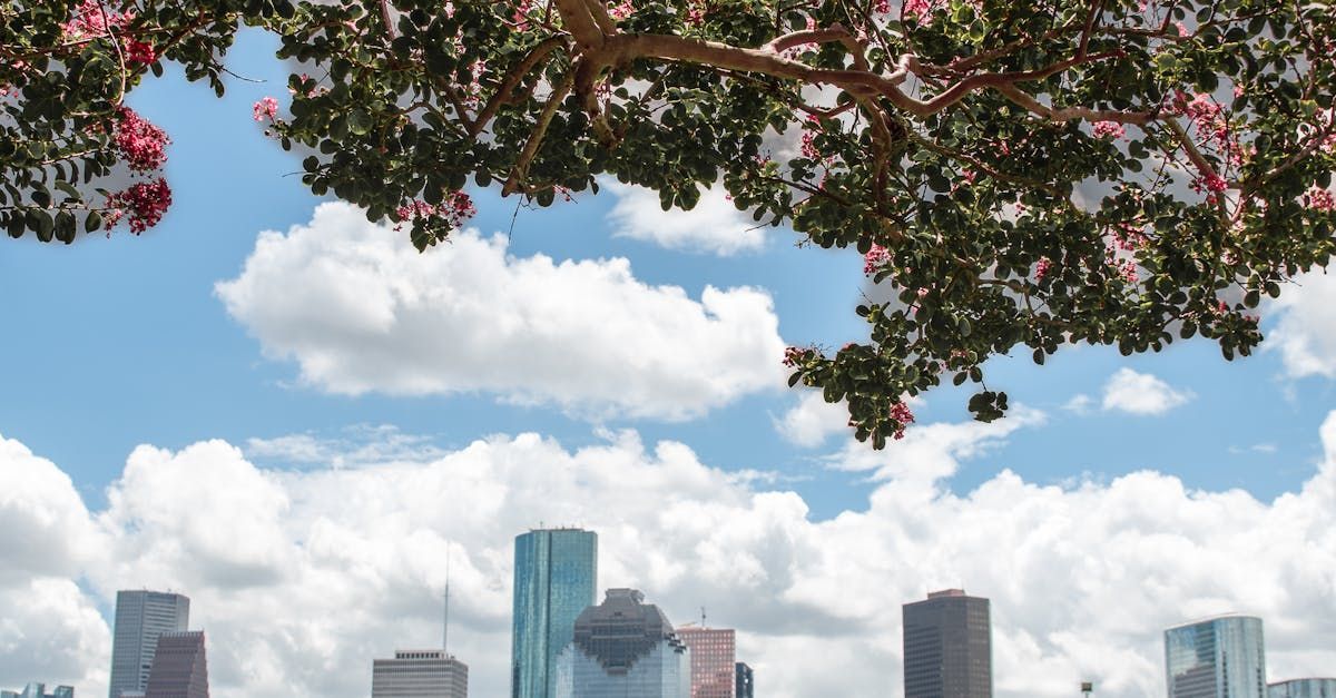 Austin skyline